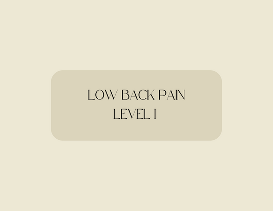 Low Back Pain Level I