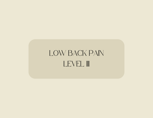Low Back Pain Level III